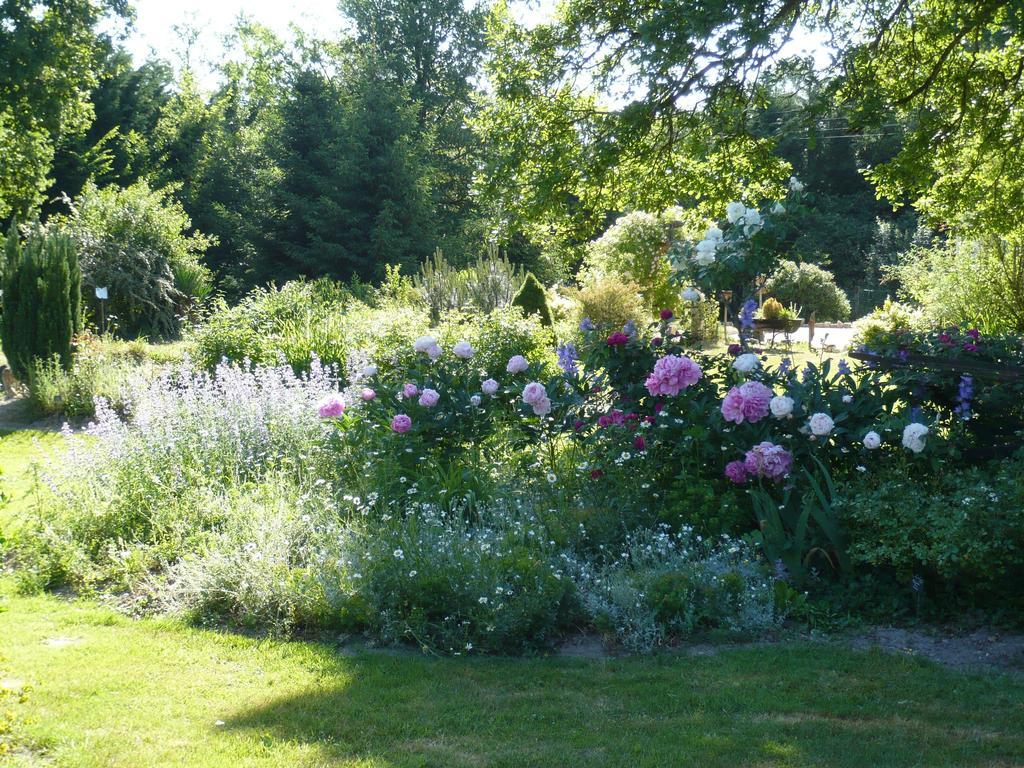 Bed and Breakfast La Petite Ferme Vouzeron Exterior foto